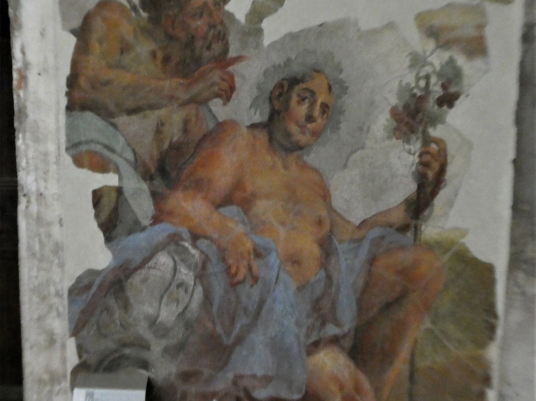 Castello Visconteo - Museo civico archeologico景点图片