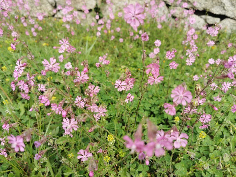 Mirador De La Calle Del Canal-Galapagar必去景点
