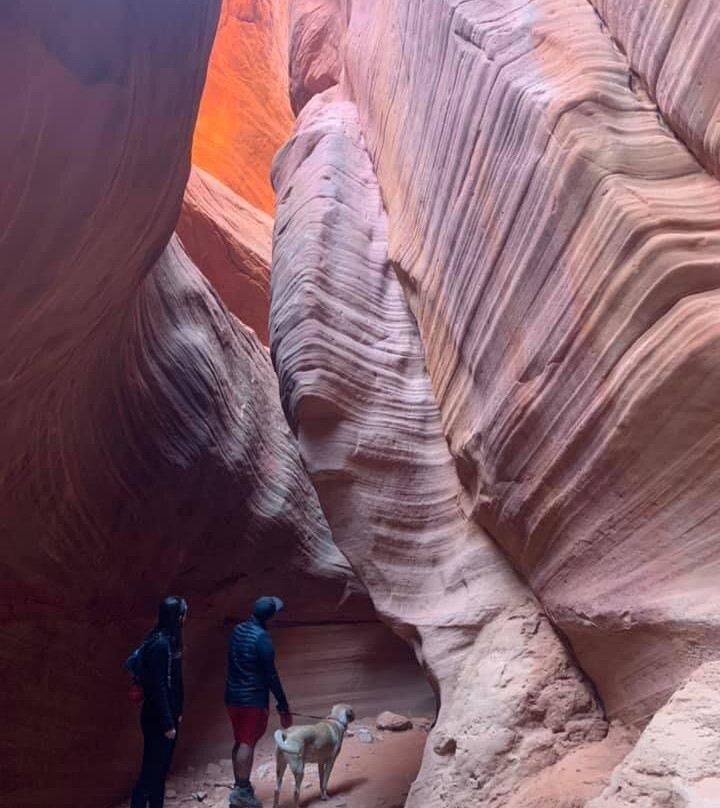 Vermilion Cliffs Day Tours-佩吉必去景点