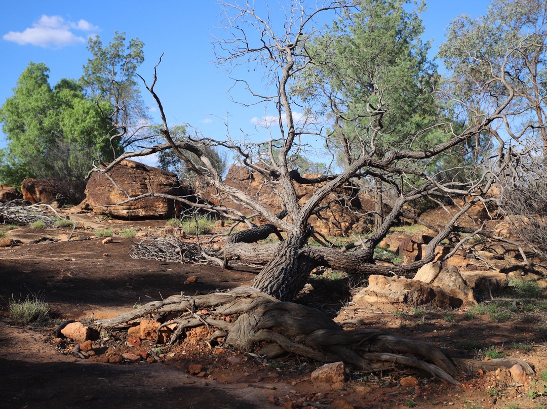 Gundabooka National Park-Bourke必去景点