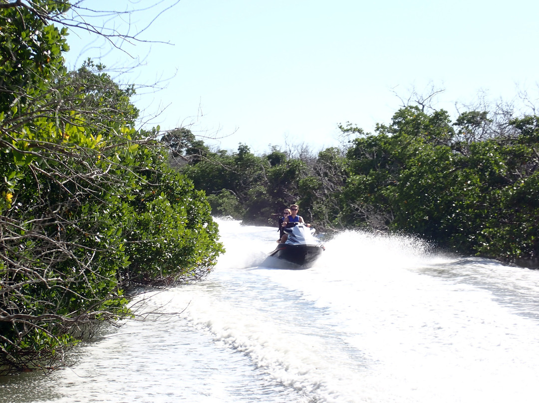 Capt. Ron's Awesome Everglades Adventures景点图片