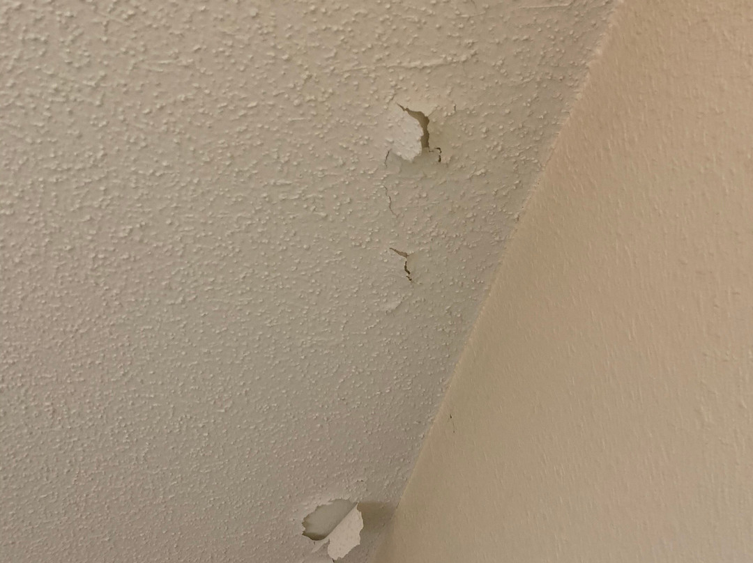 Red Roof Inn Indianapolis North - College Park主图