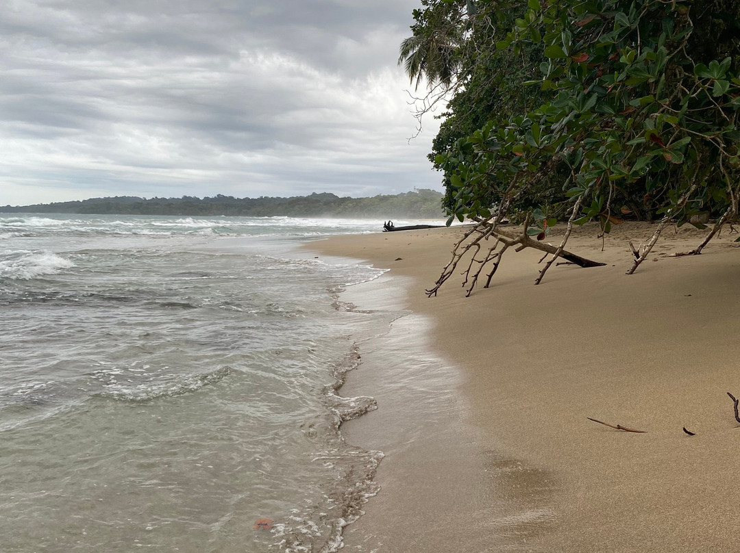 La Costa de Papito主图