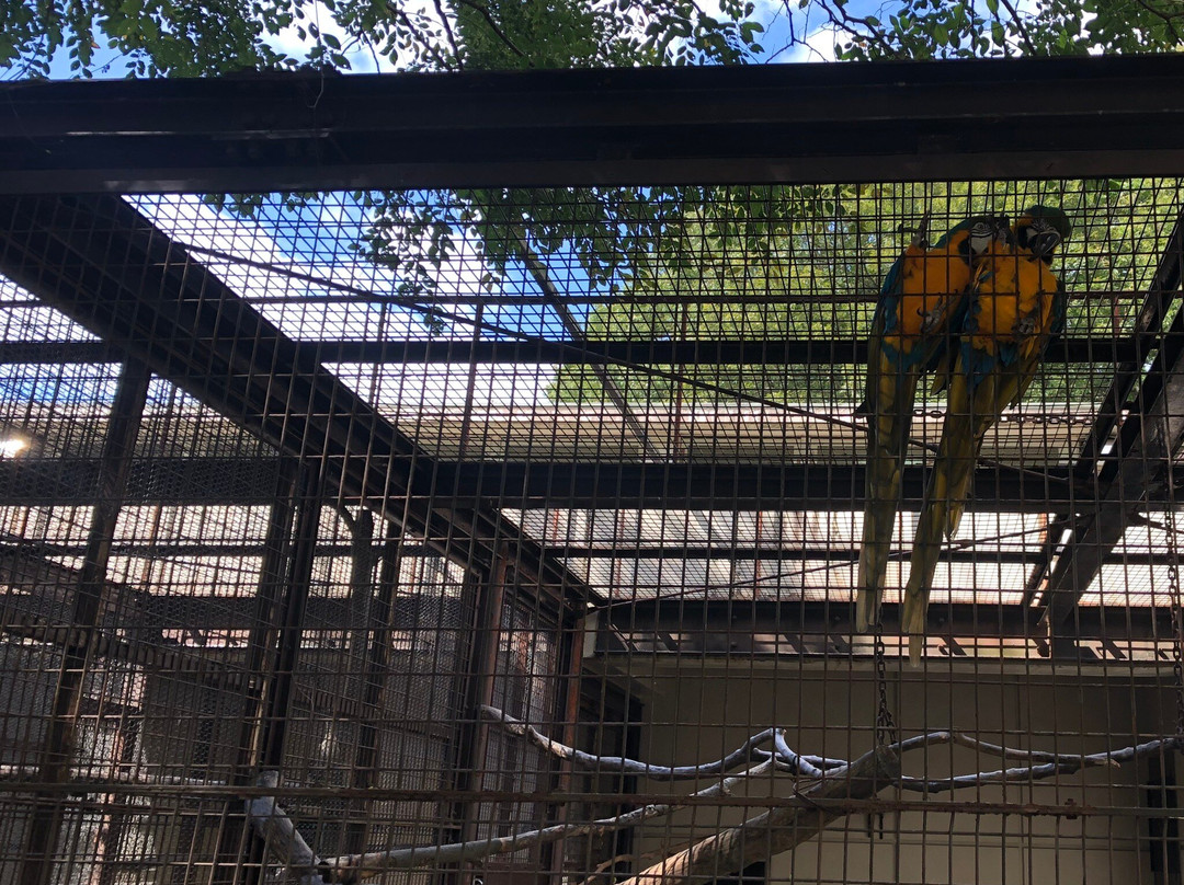 Tobe Zoological Park of Ehime Prefecture-砥部町必去景点