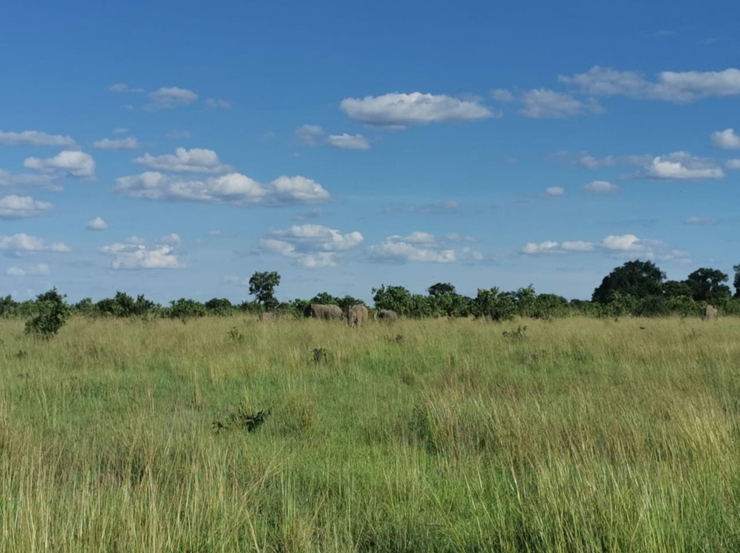 Kafue National Park-Kafue National Park必去景点
