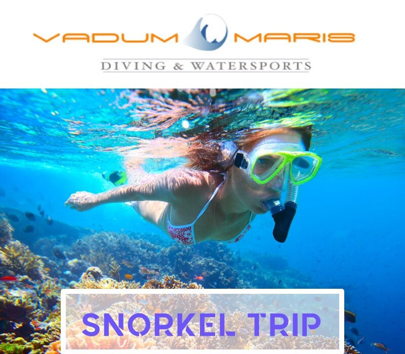 Vadum Maris Diving & Watersports景点图片