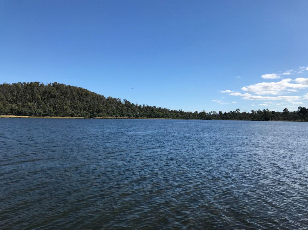 Four Springs Lake景点图片
