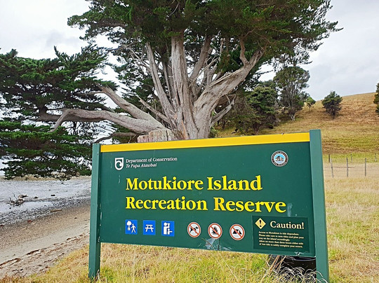 Motukiore Island-Whangarei Heads必去景点