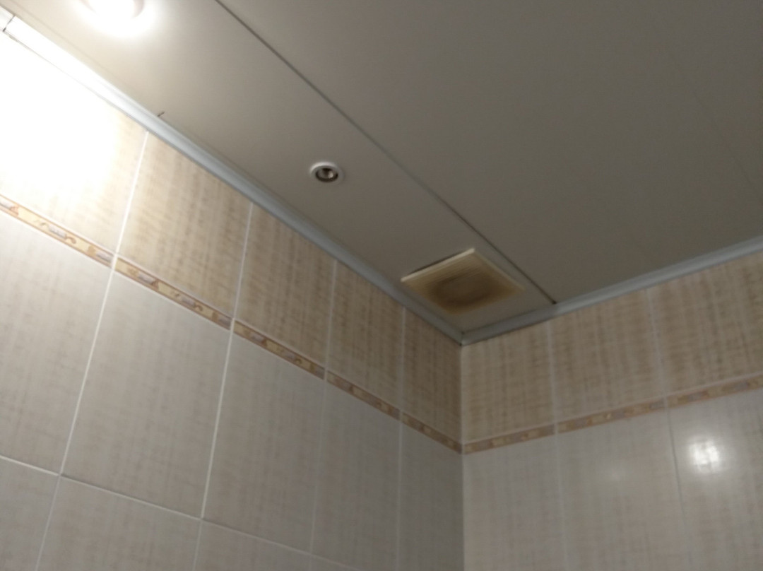 Solovyinaya Roshha主图