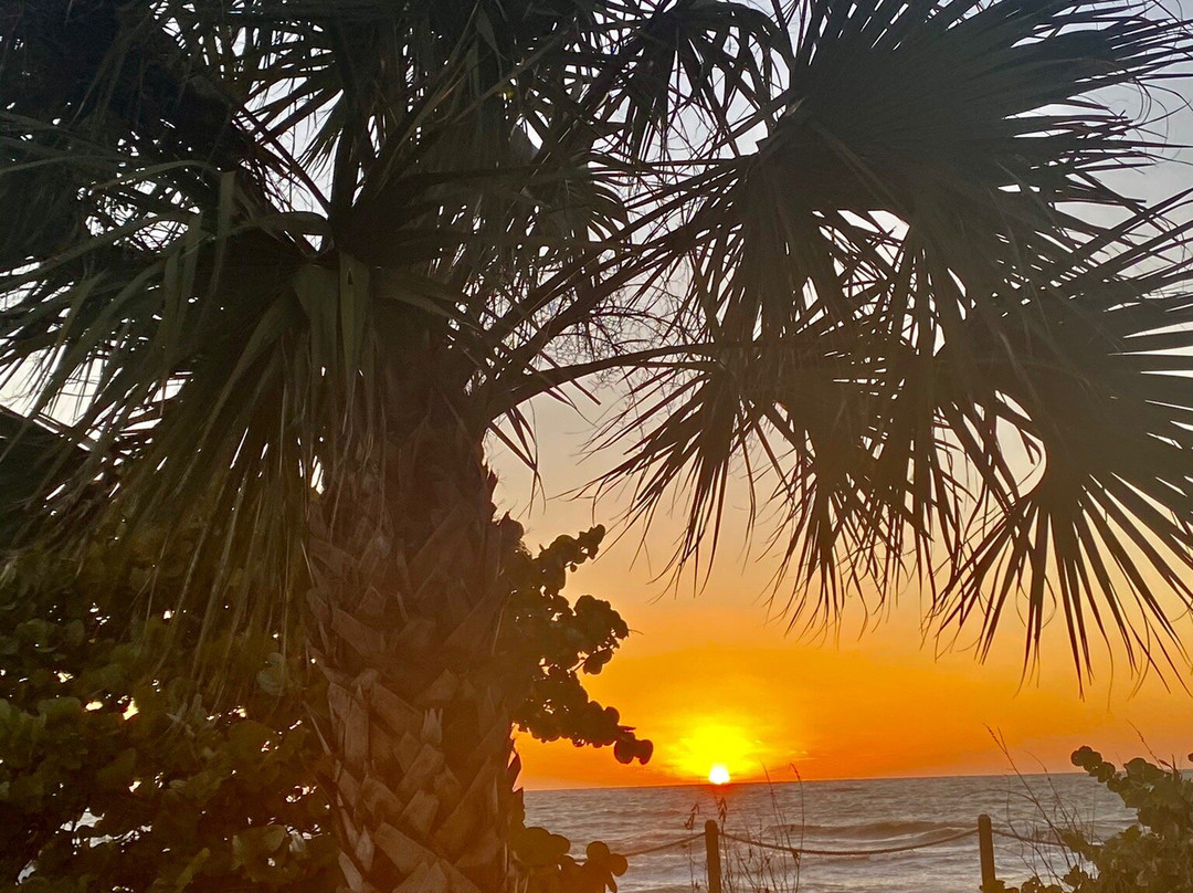 Little Hickory Beach Park-博尼塔斯普林斯必去景点