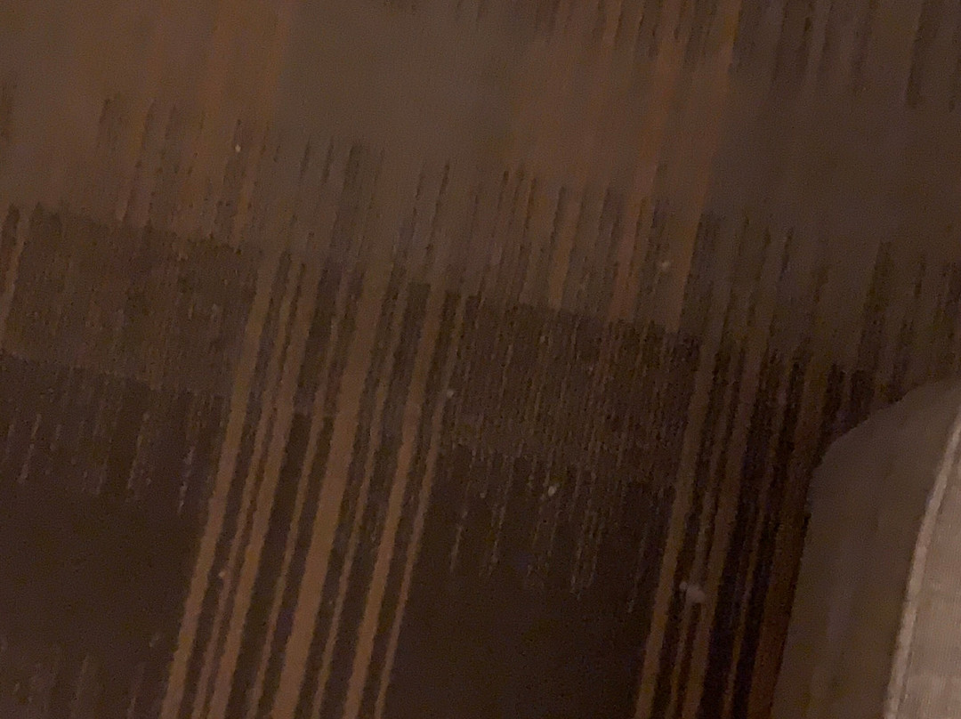 Holiday Inn Express & Suites Orangeburg By IHG主图