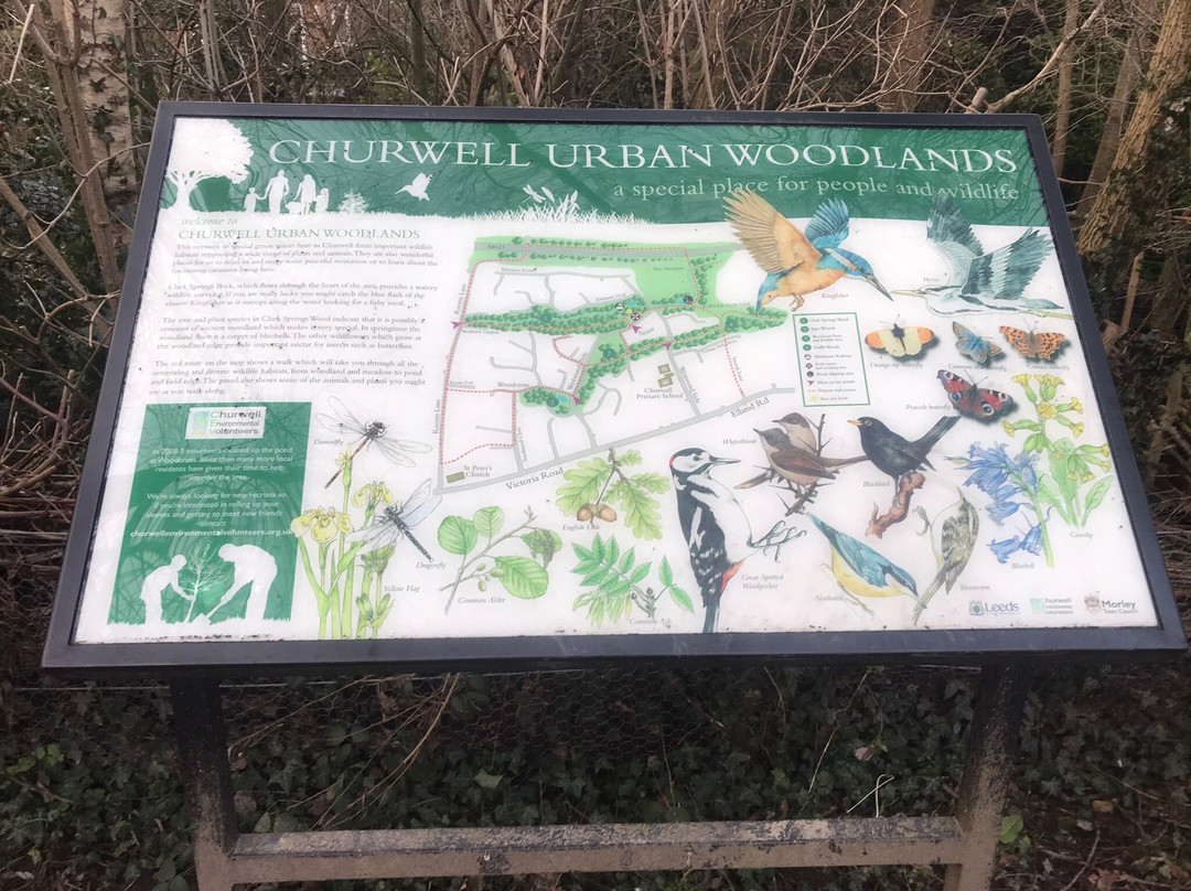 Churwell Woodland Railway-Morley必去景点