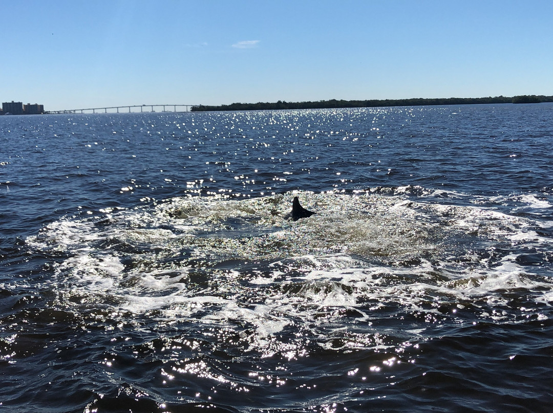 Sanibel Dolphin Tours景点图片