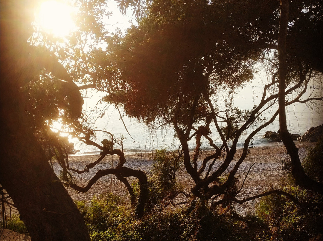 Agios Nikolaos Beach-Agios Nikolaos必去景点