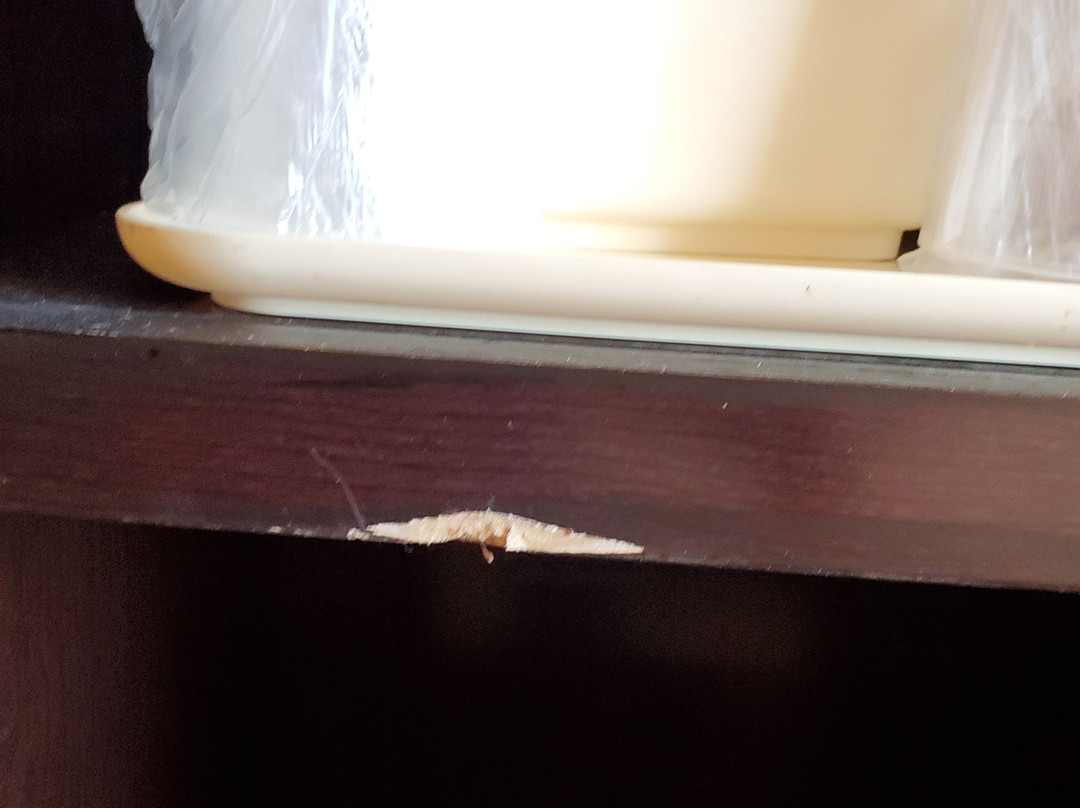 Comfort Suites主图