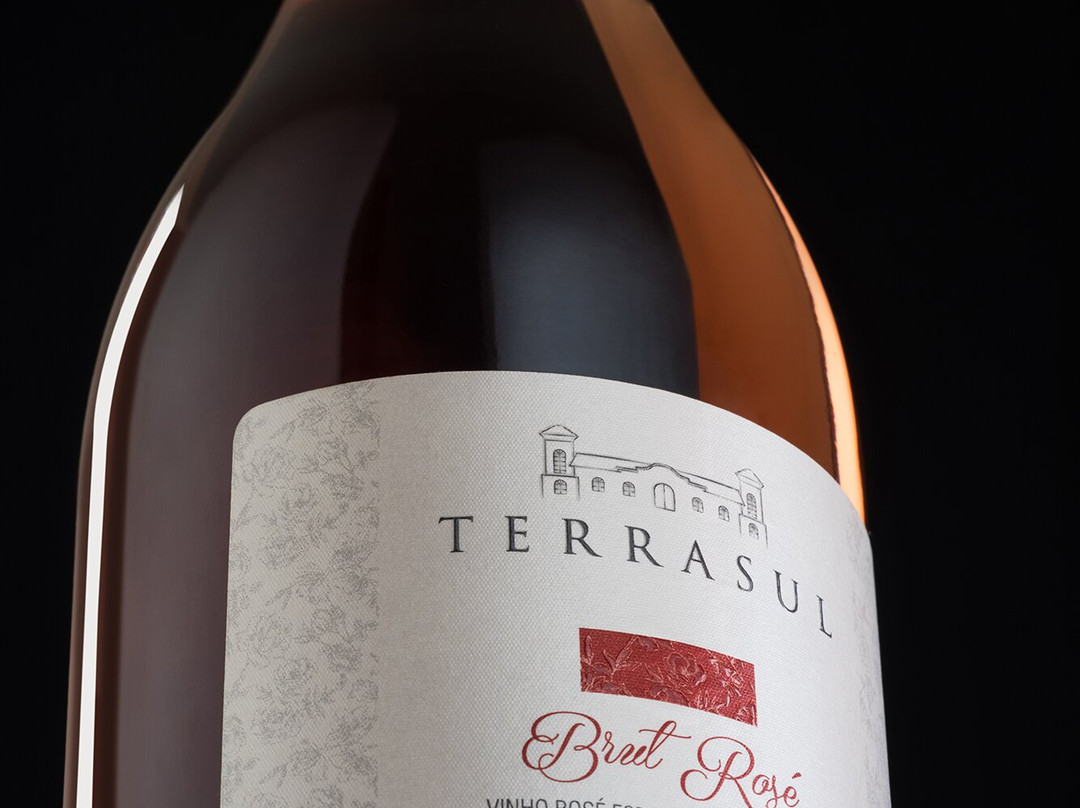 Terrasul Vinhos Finos景点图片