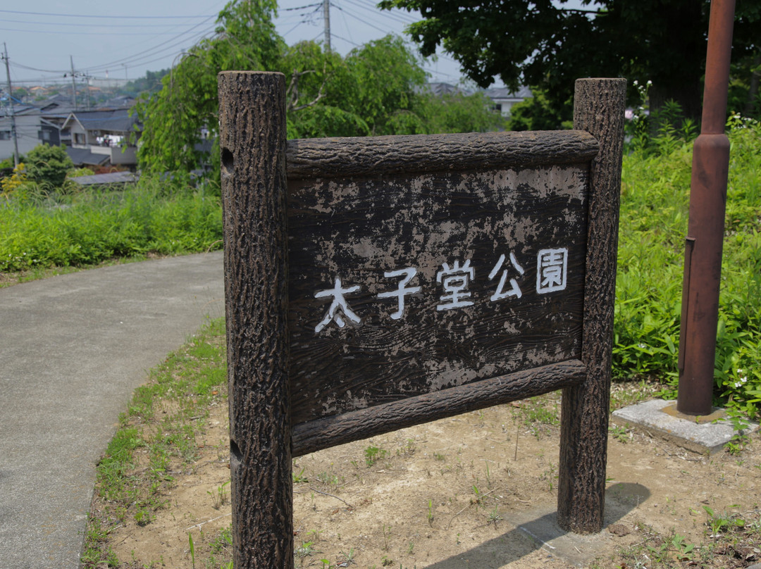 Taishido Park景点图片