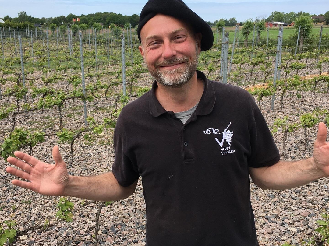 Vejby Vingaard Marani Wine Cellar-Vejbystrand必去景点