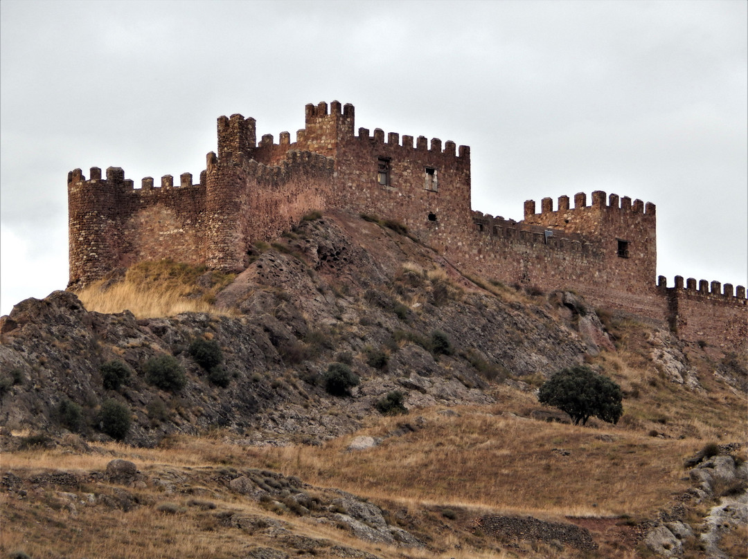 Castle of Riba de Santiuste景点图片