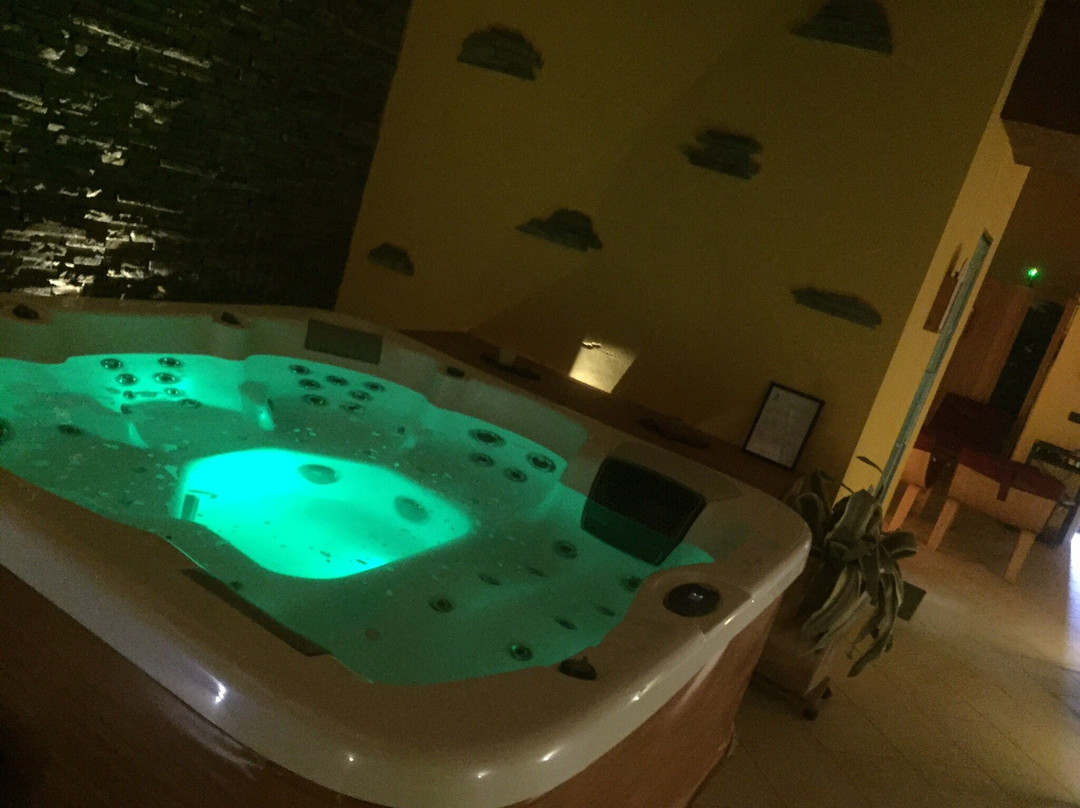 WPS Wellness and Private Spa景点图片