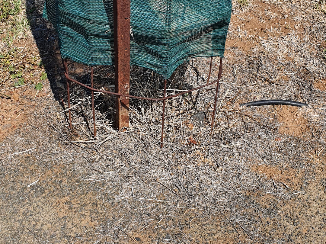 Muckadilla War Memorial-Roma必去景点