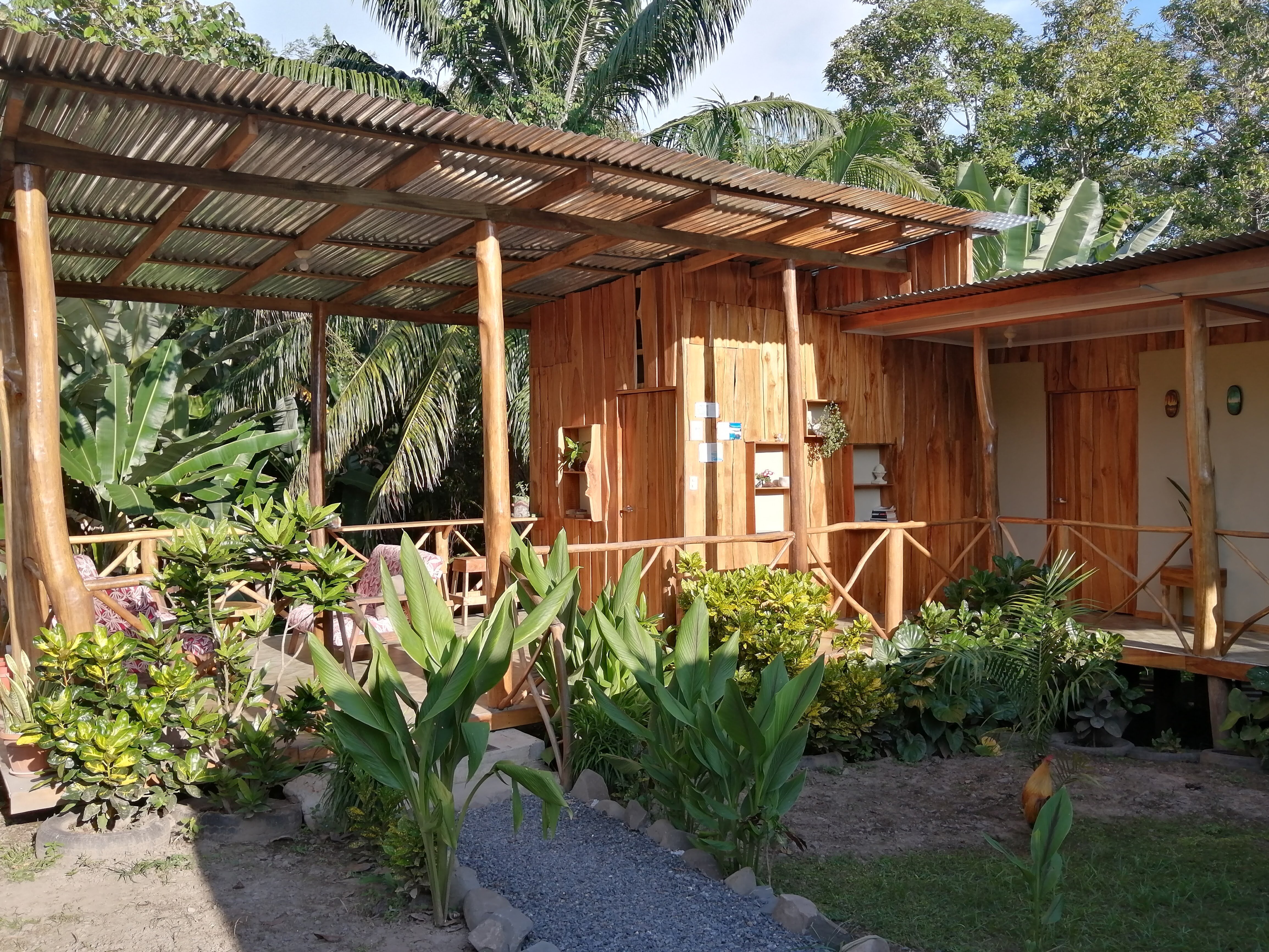 El Gecko Hotel-官方