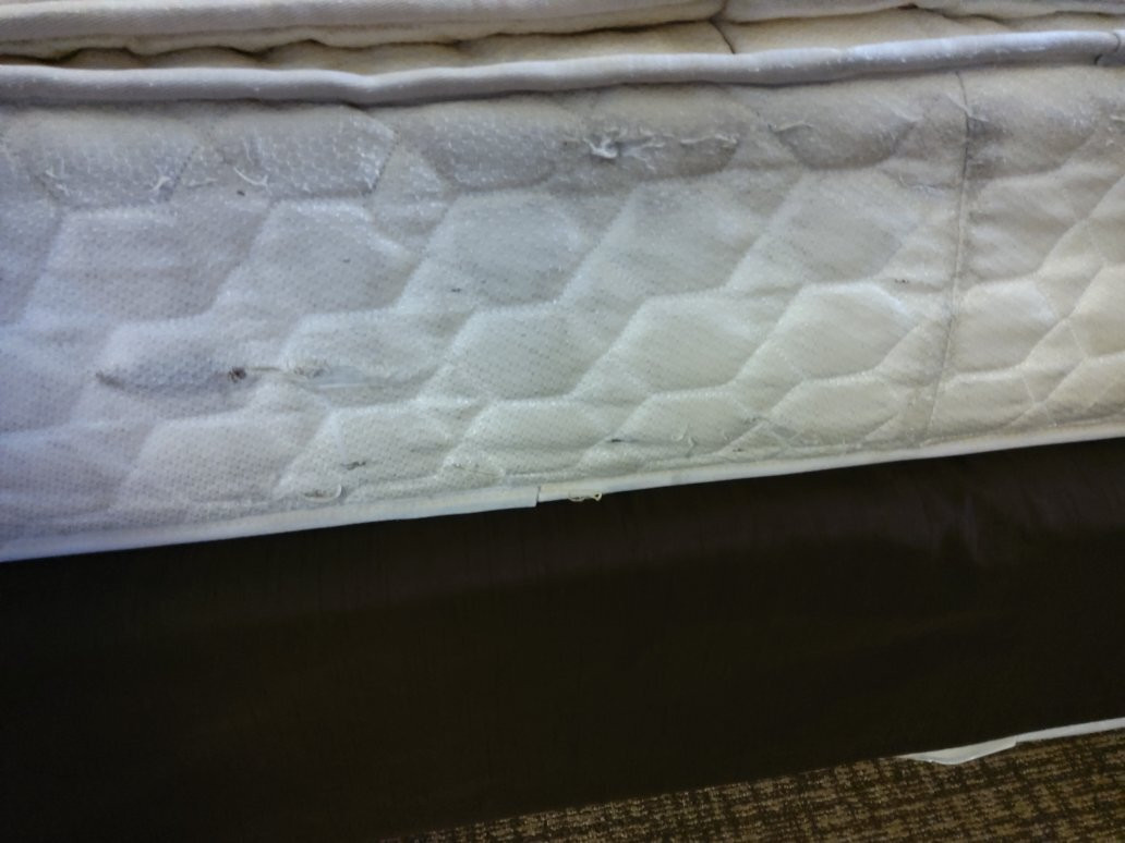 Comfort Suites主图