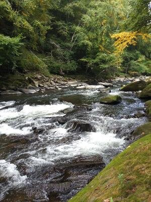 McConnells Mill State Park景点图片