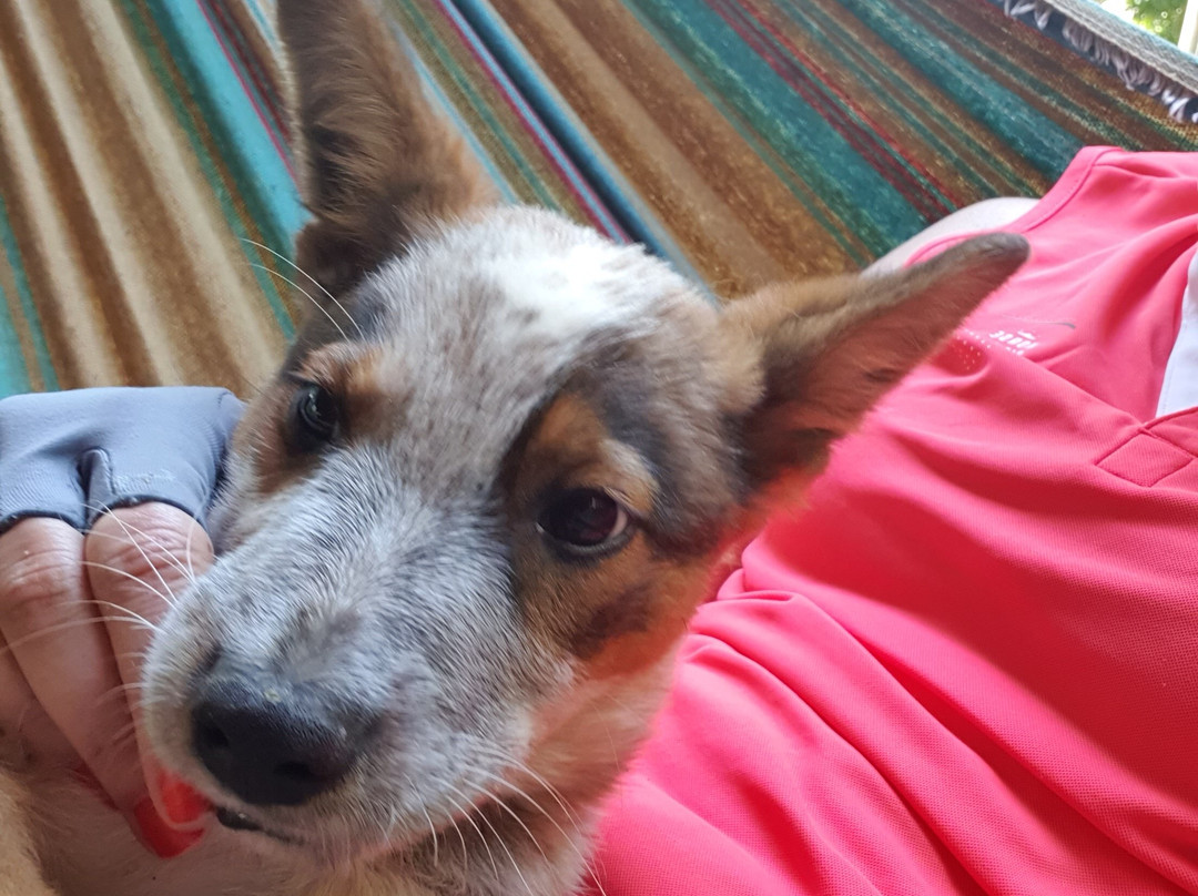 Haras Eclia-Cunha必去景点