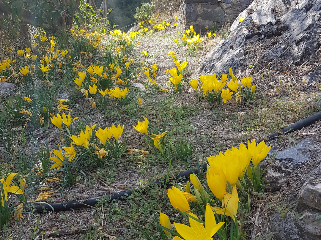 Greece on Foot-Tyros必去景点