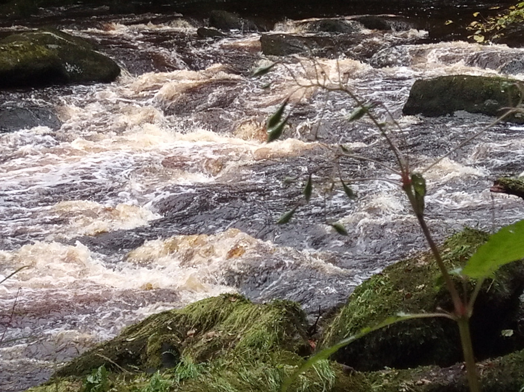 Roe Valley Country Park景点图片