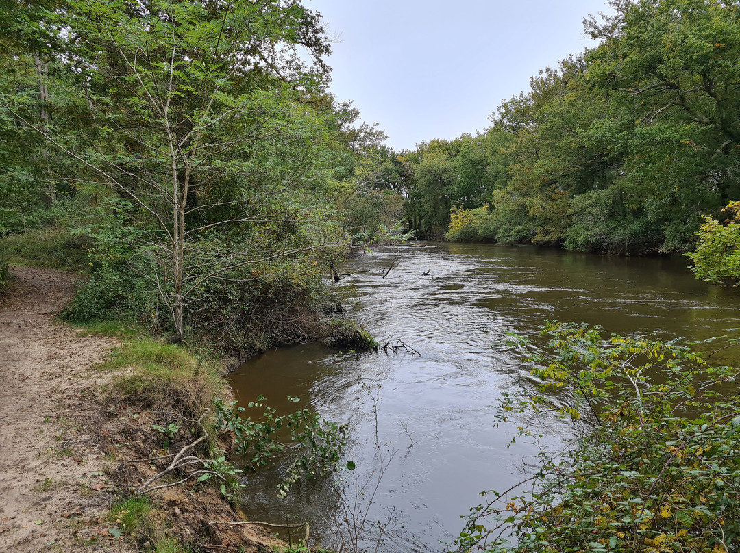 Sentier du Delta de la Leyre景点图片