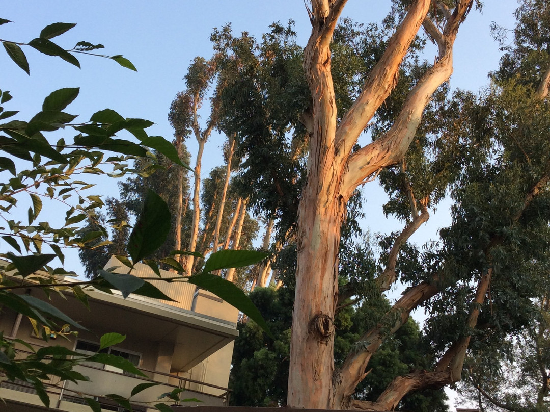 威斯勒溪畔酒店主图