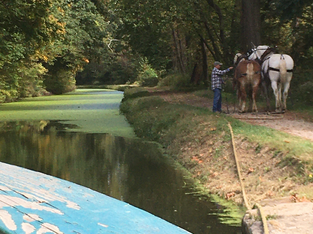 Monticello III Canal Boat Ride景点图片