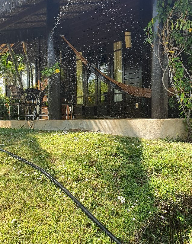 Siri Paraiso Hotel主图