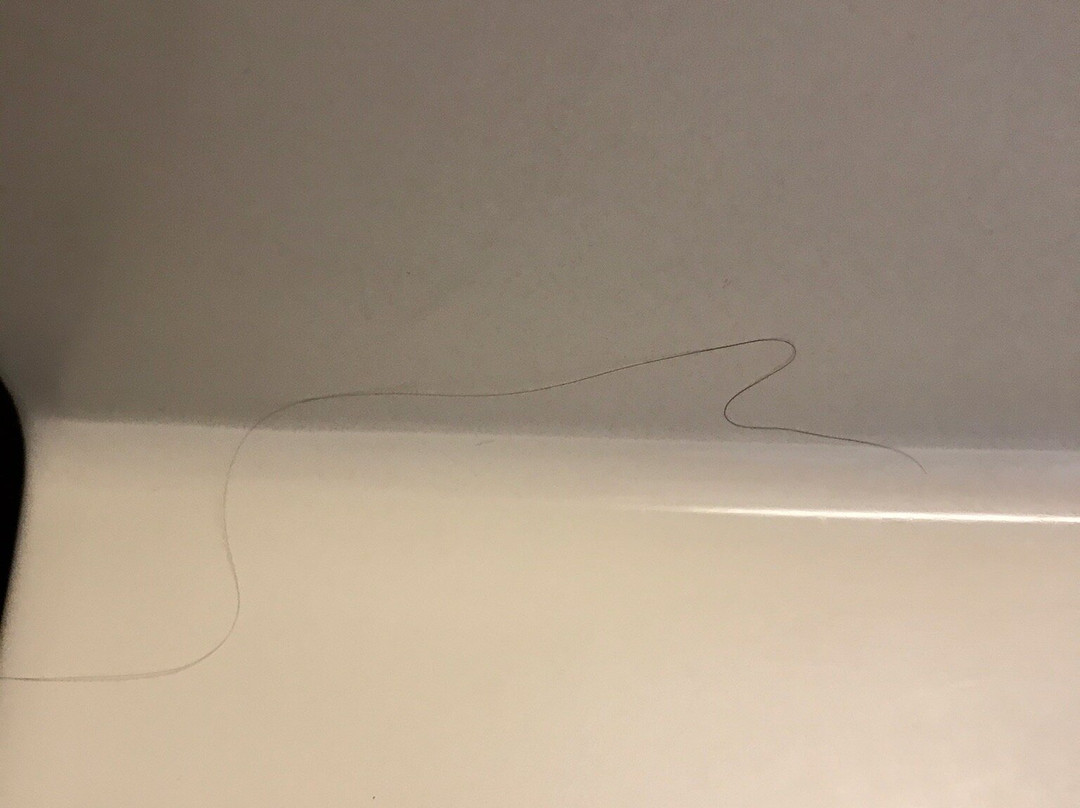 SpringHill Suites by Marriott Peoria主图