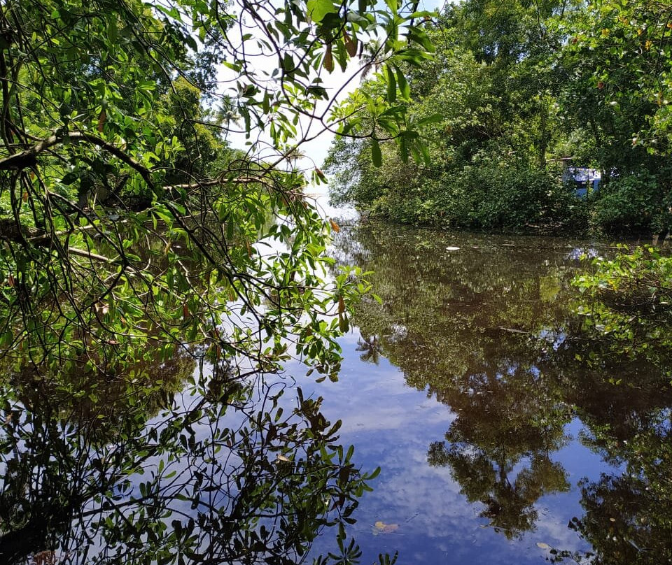 Marari Secret Beach Yoga Homestay主图