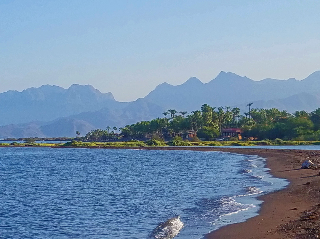 Hotel Oasis Loreto主图