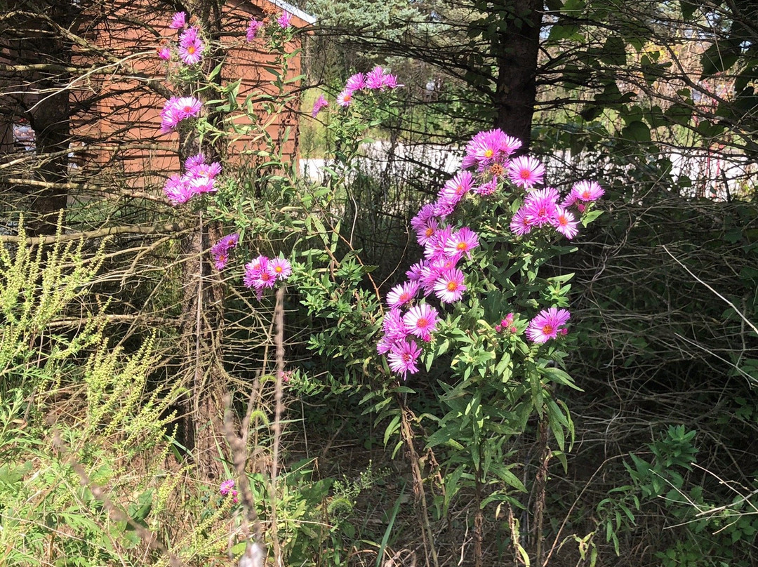Prophetstown State Park-Battle Ground必去景点