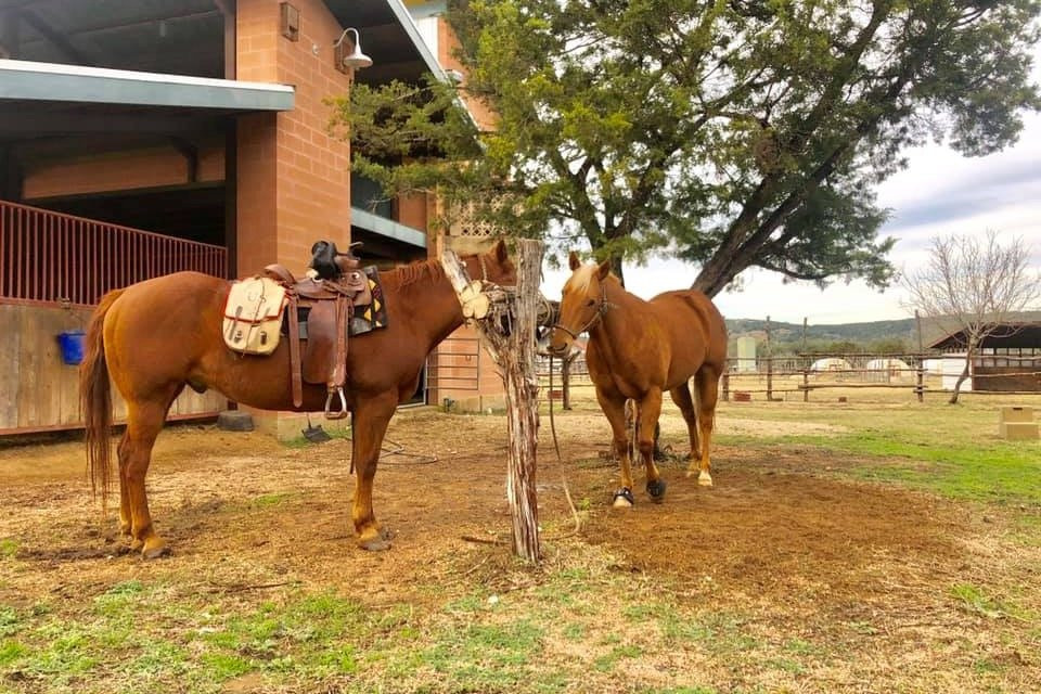 Horseback Adventures of Central Texas-Wimberley必去景点