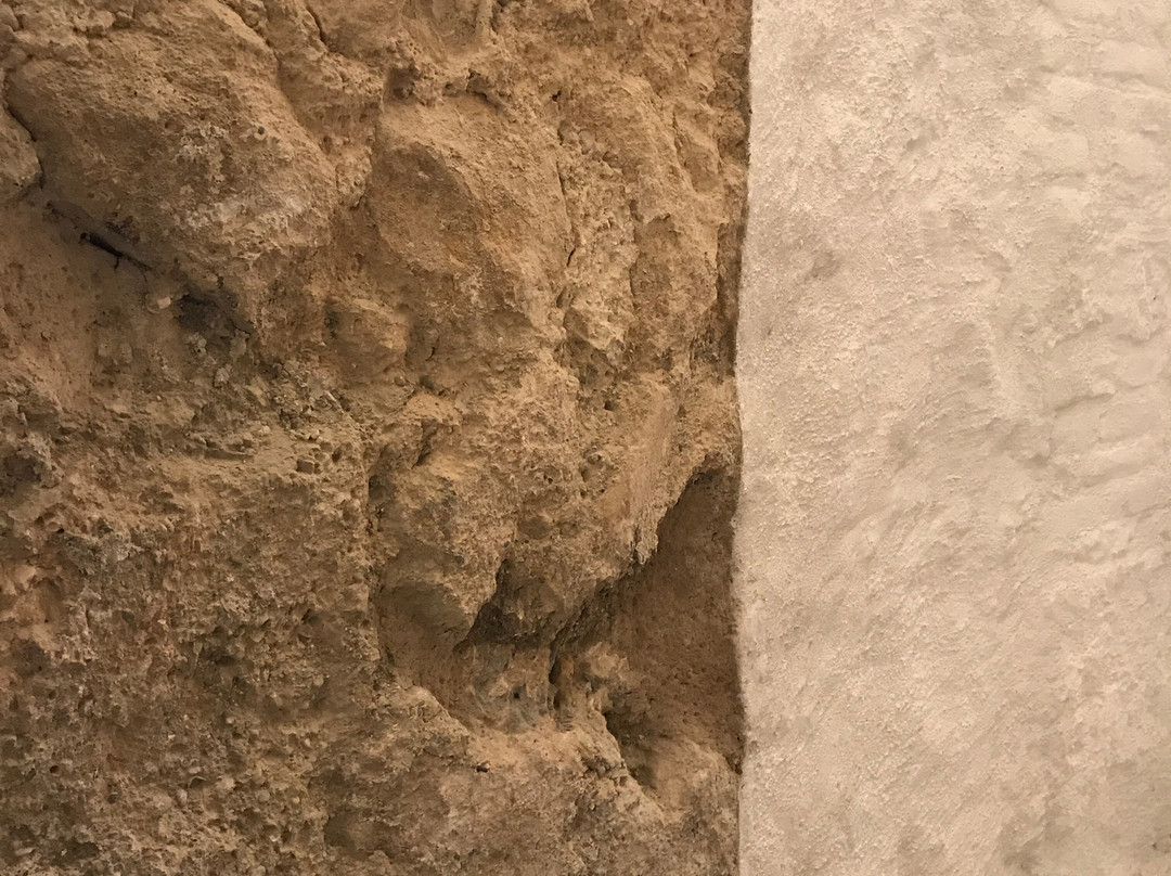 Stadtmauer und Kasematten-维也纳新城必去景点