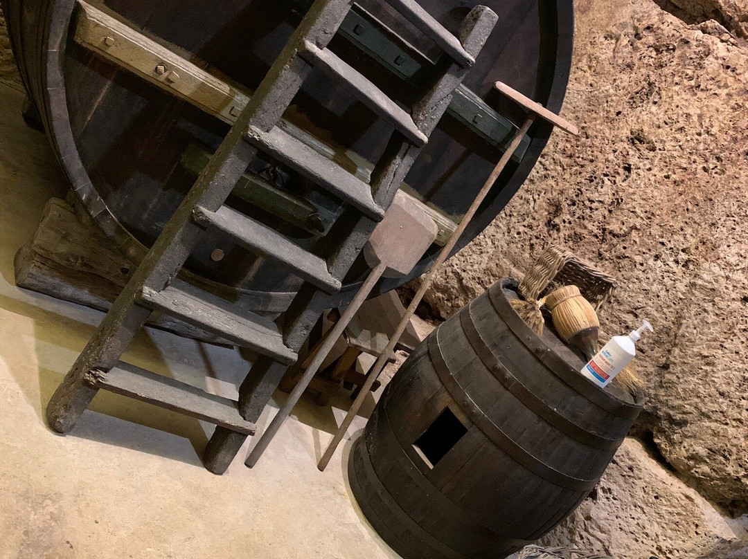 La Cantina Frrud - Museo del Vino-阿尔塔穆拉必去景点
