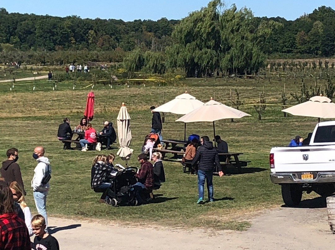 Twin Star Orchards-新帕尔茨必去景点