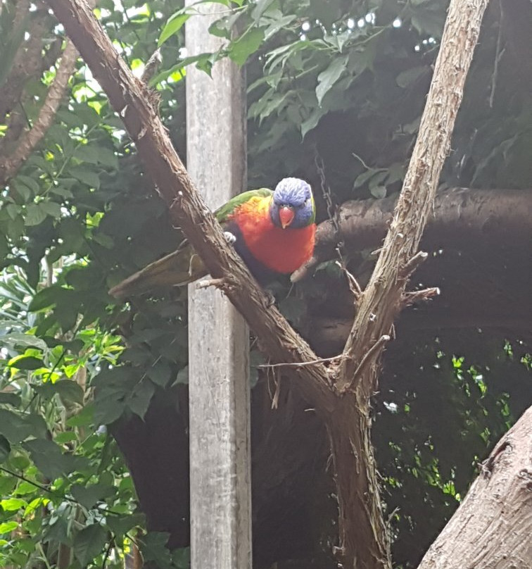 Texel Zoo-特塞尔必去景点