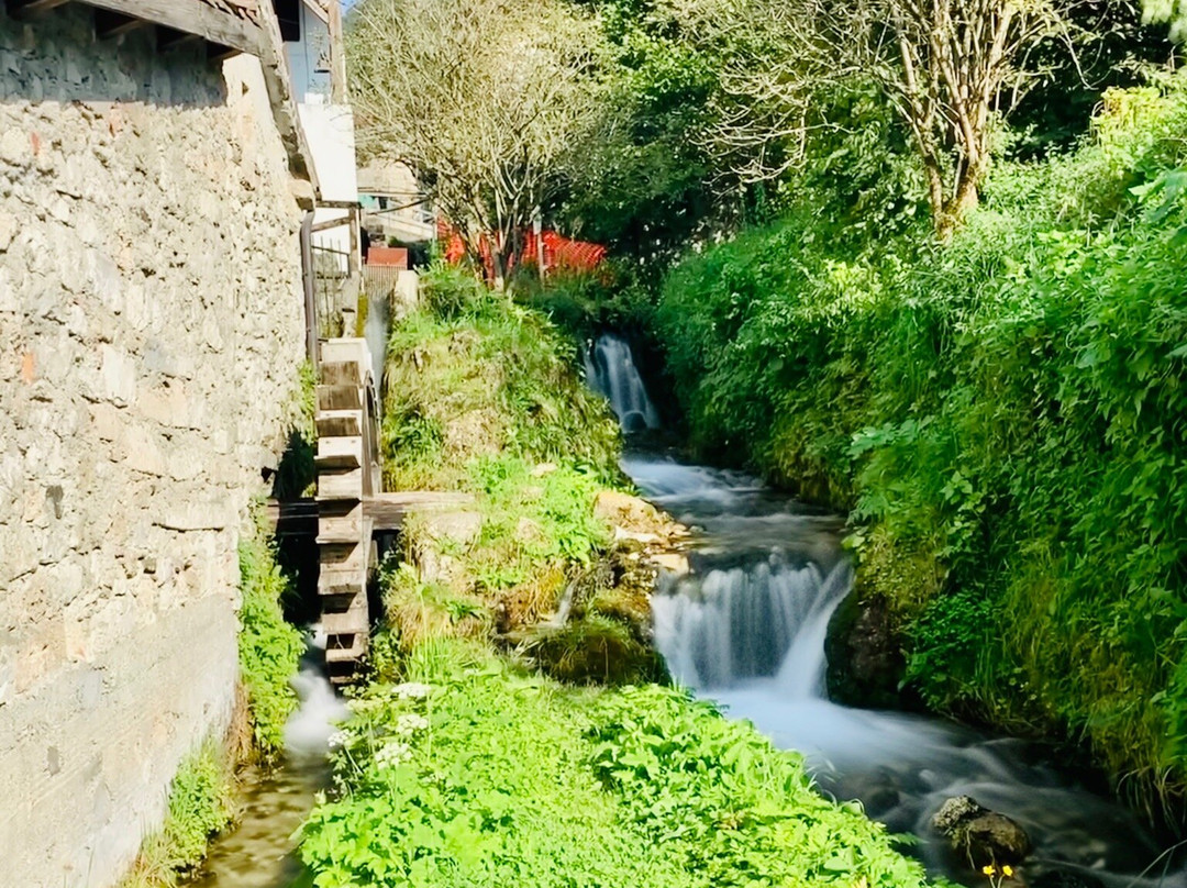 Il borgo di Illegio景点图片