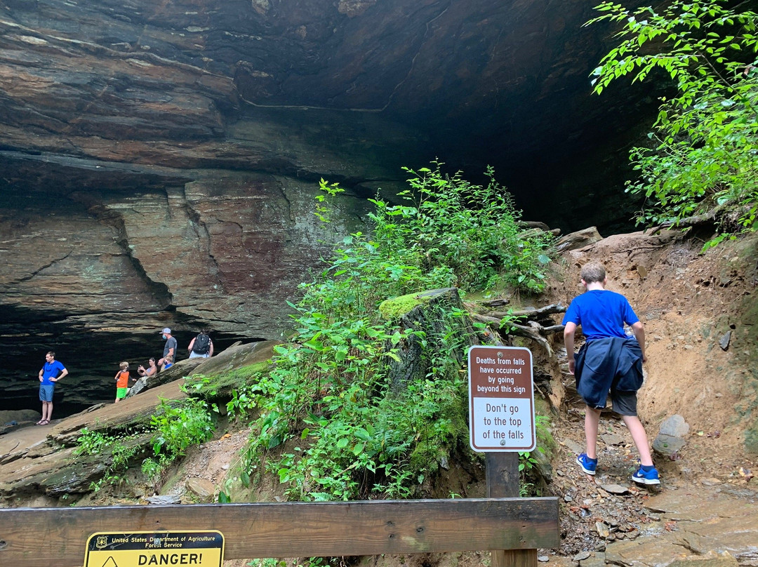 Moore Cove Falls-Pisgah Forest必去景点