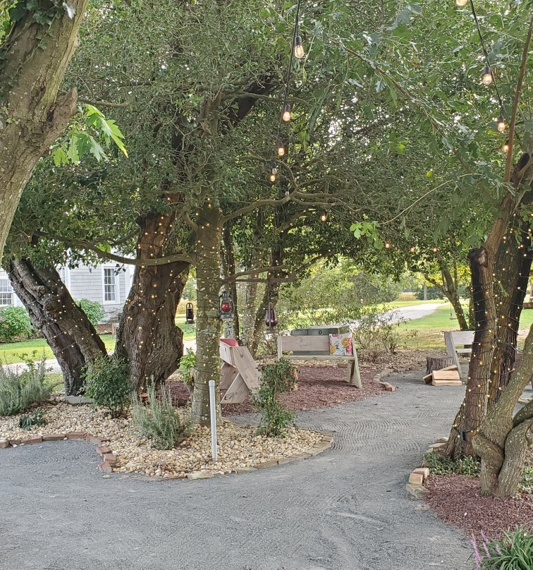 Windmill Creek Winery & Farm Kitchen-Berlin必去景点