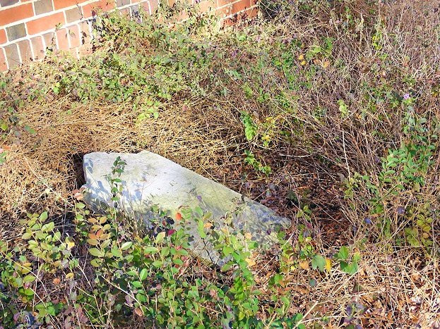 St. Paul's Episcopal Church-奥古斯塔必去景点