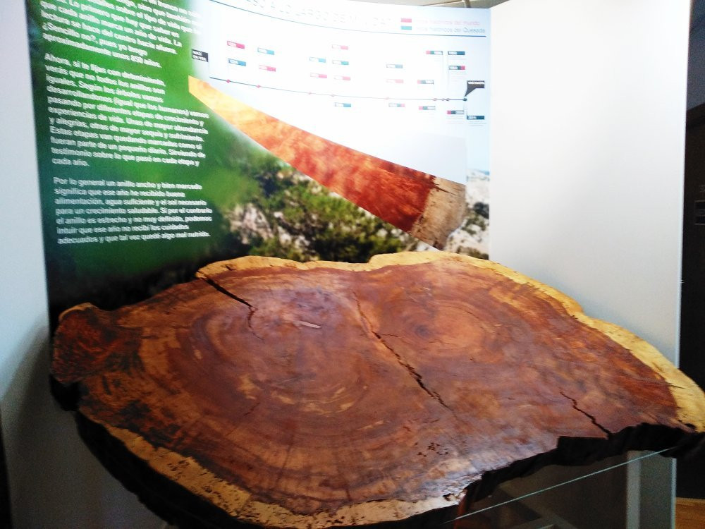 CIPAQ - Centro de Interpretacion del Patrimonio Arqueologico de Quesada景点图片