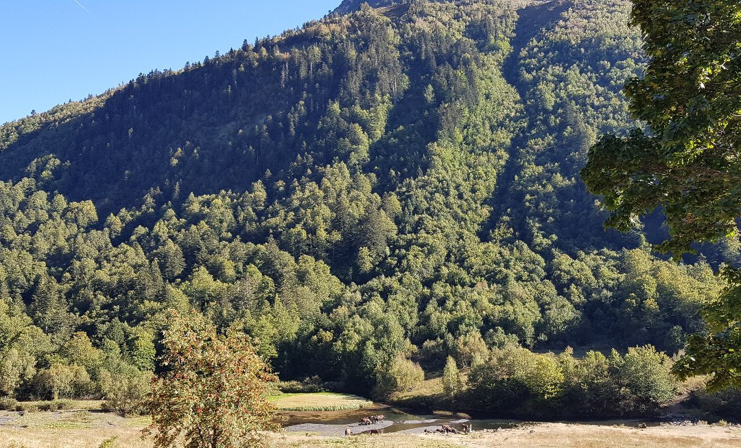 Saut deth Pish景点图片